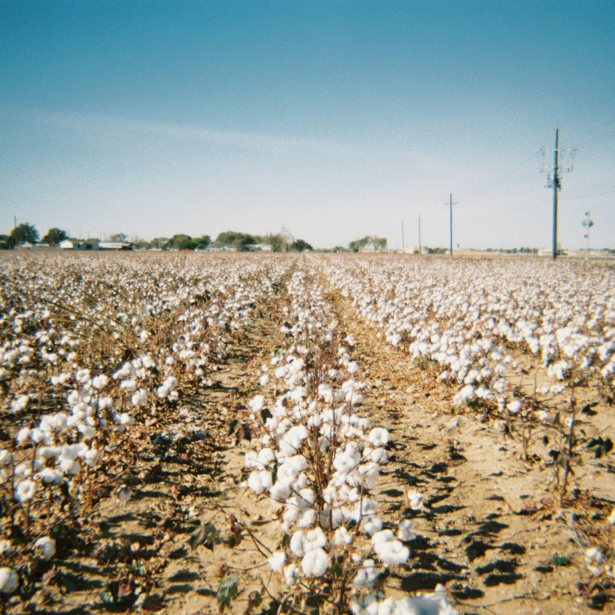 - Brand History - SOIL