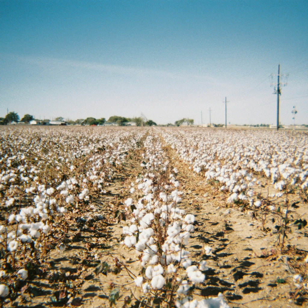 - Brand History - SOIL