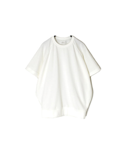 GNSL25031 COMBED COTTON FRENCH TERRY FRENCH/SL CREW NECK T-SHIRT